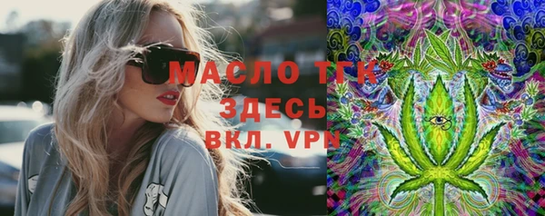 МДПВ Абаза