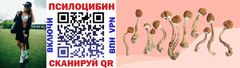 Галлюциногенные грибы мицелий  Ртищево 